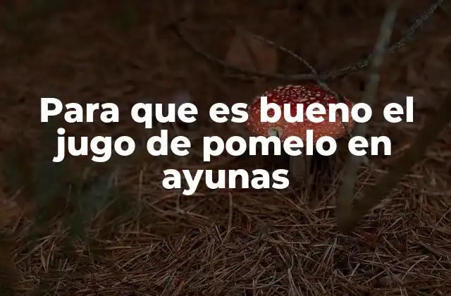 Para que es Bueno el Jugo de Pomelo en Ayunas 2 Beneficios del consumo matutino de jugo natural