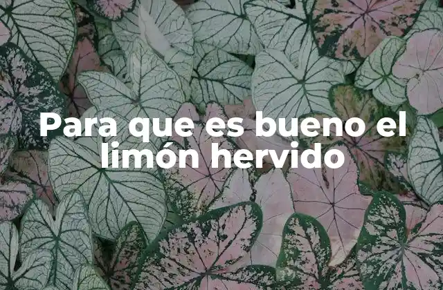 Para que es Bueno el Limón Hervido