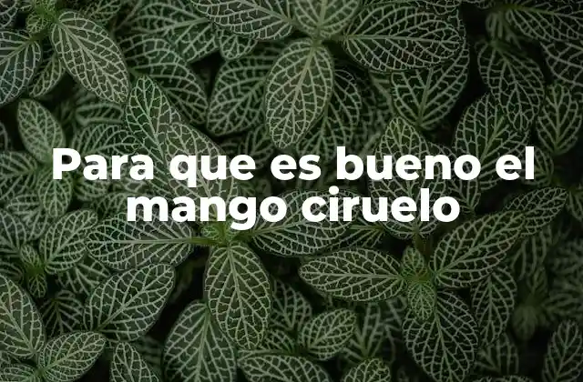 Para que es Bueno el Mango Ciruelo