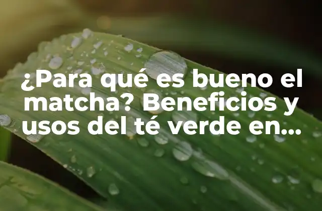 ¿para Qué es Bueno el Matcha? Beneficios y Usos Del Té Verde en Polvo