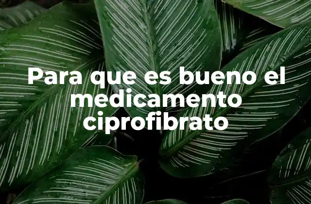 Para que es Bueno el Medicamento Ciprofibrato