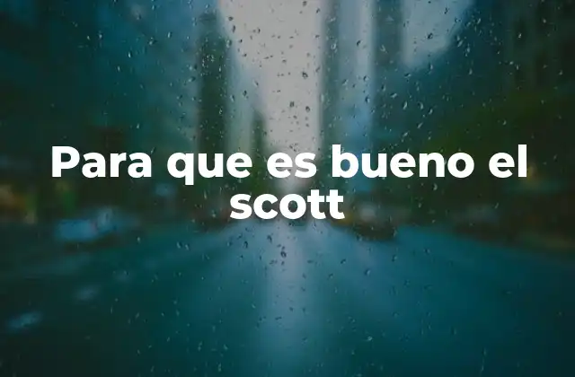 Para que es Bueno el Scott 2 Beneficios del uso de productos Scott