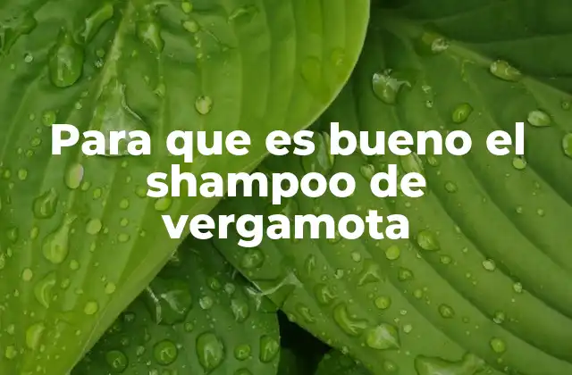 Beneficios del shampoo de vergamota para la salud del cabello