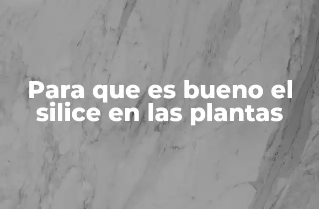 Para que es Bueno el Silice en las Plantas