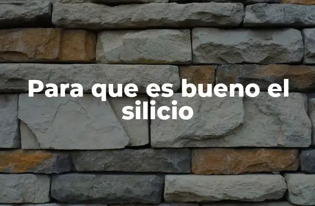 Para que es Bueno el Silicio 2 El silicio en la salud humana y la nutrición