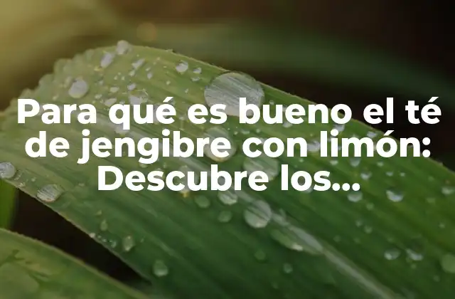 Para Qué es Bueno el Té de Jengibre con Limón: Descubre los Beneficios