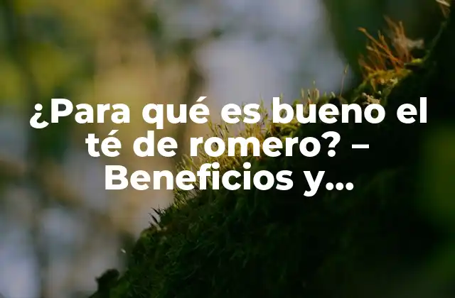 ¿para Qué es Bueno el Té de Romero? – Beneficios y Propiedades Del Romero