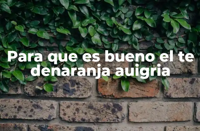 Para que es Bueno el Te Denaranja Auigria