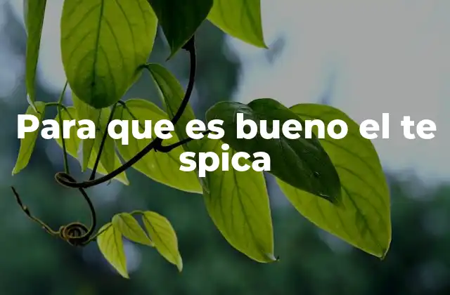 Para que es Bueno el Te Spica