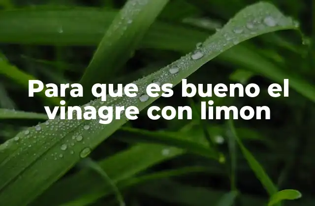 Para que es Bueno el Vinagre con Limon