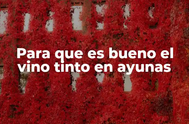 Para que es Bueno el Vino Tinto en Ayunas