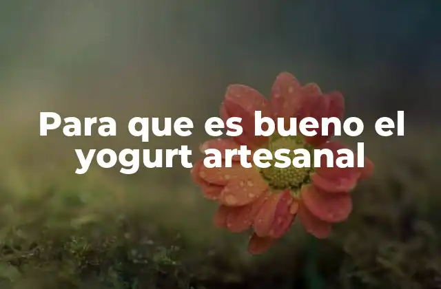 Para que es Bueno el Yogurt Artesanal