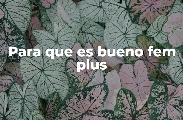 Para que es Bueno Fem Plus