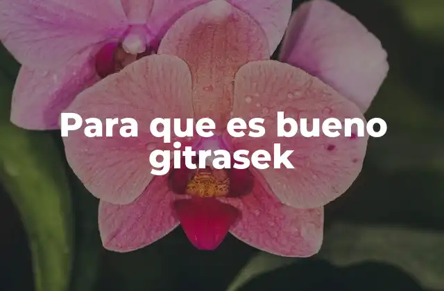 Para que es Bueno Gitrasek