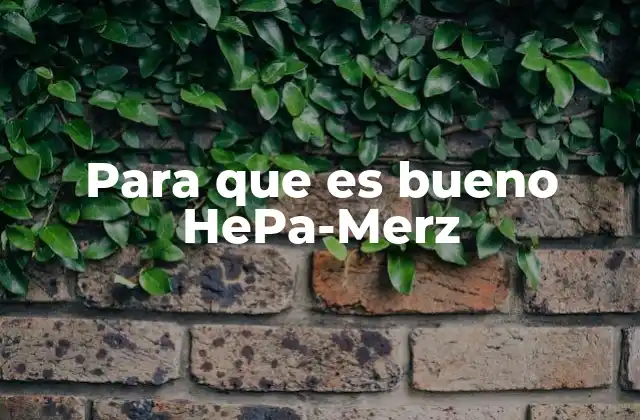 Para que es Bueno Hepa-merz