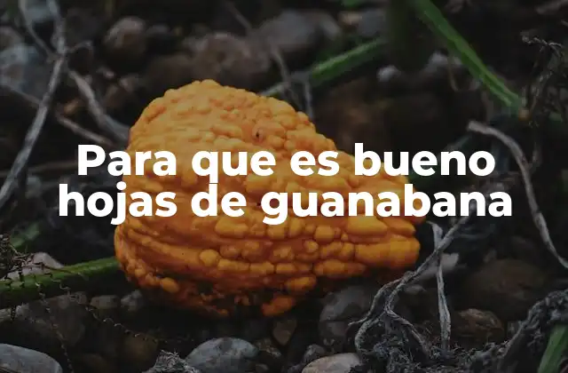 Para que es Bueno Hojas de Guanabana