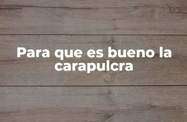 Para que es Bueno la Carapulcra