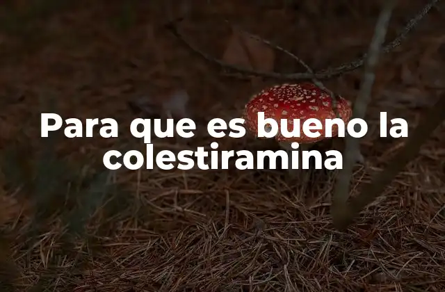 Mecanismo de acción de la colestiramina en el organismo