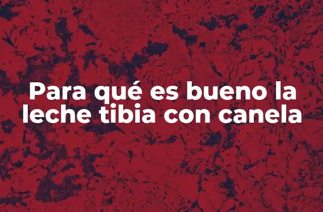 Para Qué es Bueno la Leche Tibia con Canela 2 Un aliado natural para el bienestar diario