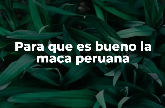 Para que es Bueno la Maca Peruana 2 Beneficios de la maca peruana para la salud general