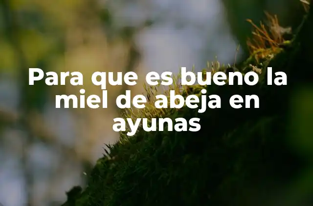 Para que es Bueno la Miel de Abeja en Ayunas