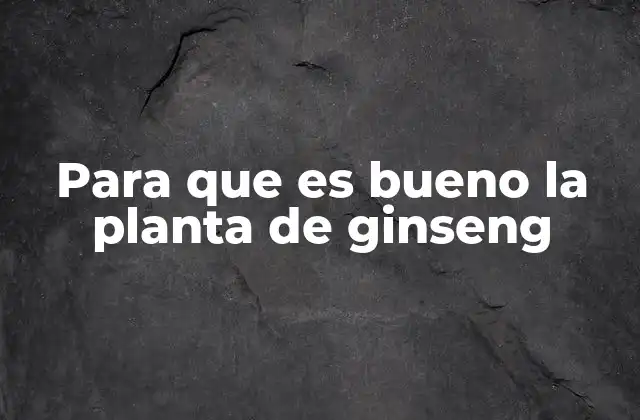Para que es Bueno la Planta de Ginseng