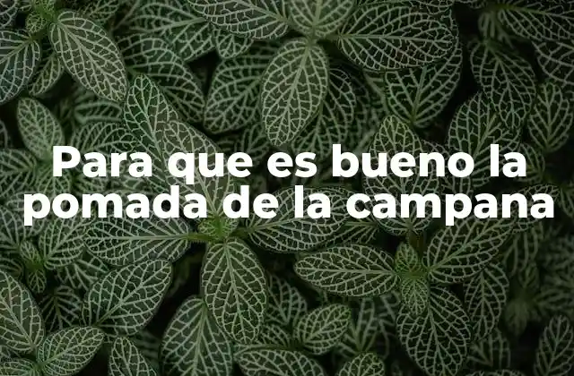 Para que es Bueno la Pomada de la Campana 2 Diferencias entre la pomada de la campana y otros tipos de pomadas