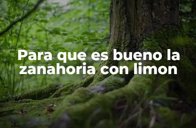 Para que es Bueno la Zanahoria con Limon