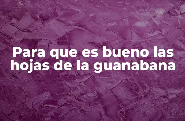 Para que es Bueno las Hojas de la Guanabana 2 Beneficios de las hojas de la guanabana en la salud