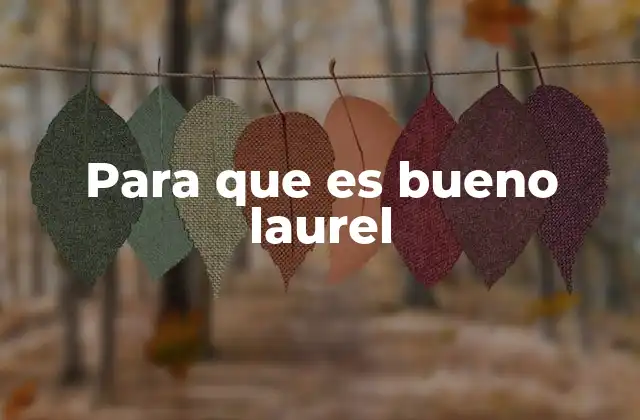 Para que es Bueno Laurel