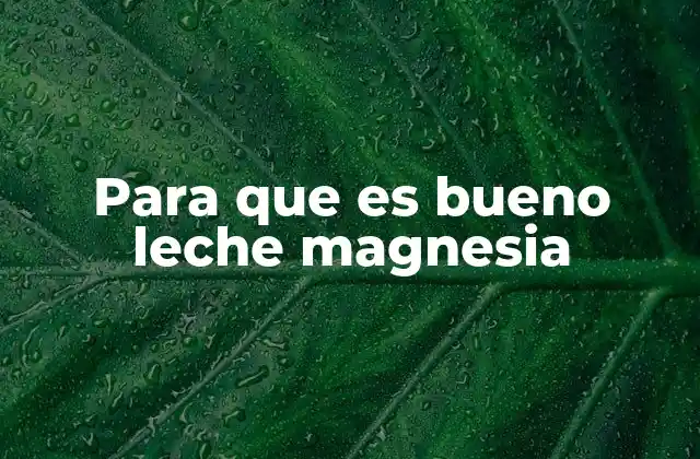 Para que es Bueno Leche Magnesia