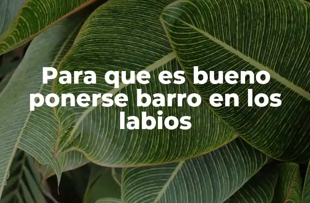 Beneficios del uso de barro en la piel del contorno de los labios
