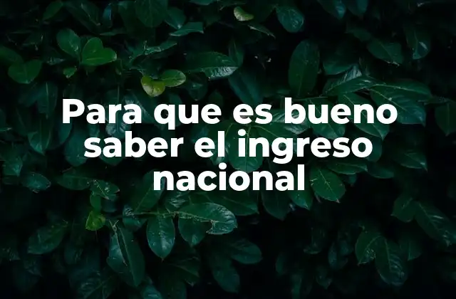 Para que es Bueno Saber el Ingreso Nacional