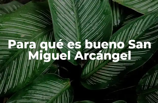 Para Qué es Bueno San Miguel Arcángel
