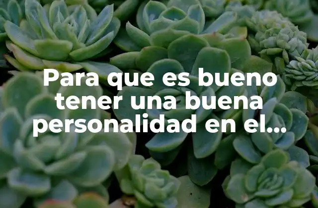 Para que es Bueno Tener una Buena Personalidad en el Trabajo