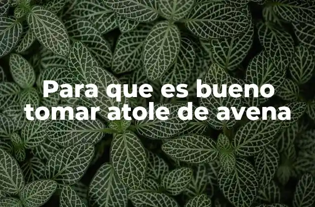 Para que es Bueno Tomar Atole de Avena