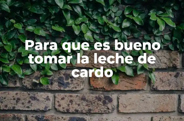 Para que es Bueno Tomar la Leche de Cardo