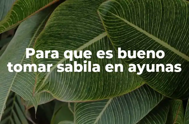 Beneficios de comenzar el día con sabila