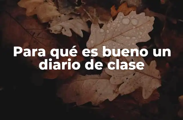 Para Qué es Bueno un Diario de Clase