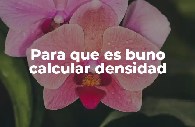 Para que es Buno Calcular Densidad