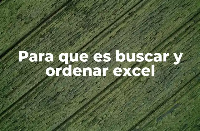 Para que es Buscar y Ordenar Excel