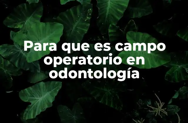 Para que es Campo Operatorio en Odontología