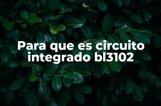 Para que es Circuito Integrado Bl3102