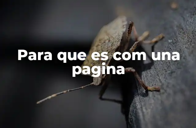 Para que es Com una Pagina