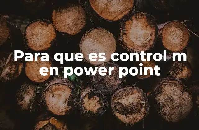Para que es Control M en Power Point