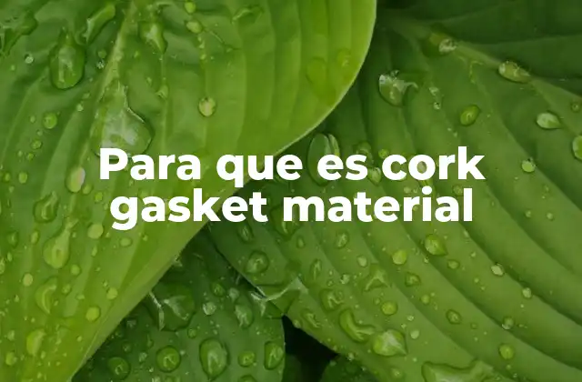 Para que es Cork Gasket Material