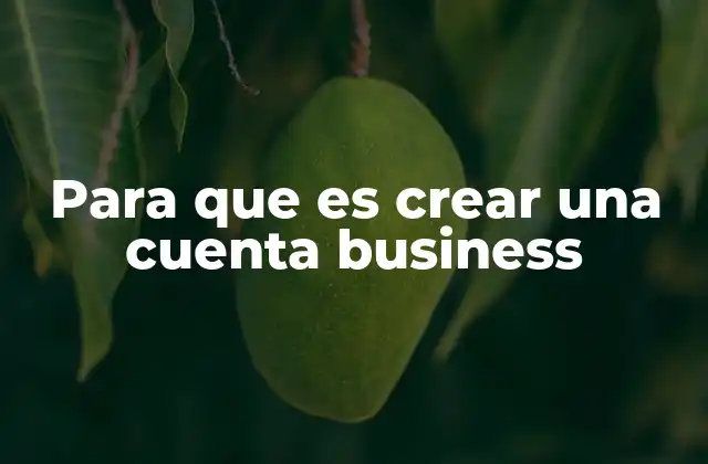 Para que es Crear una Cuenta Business