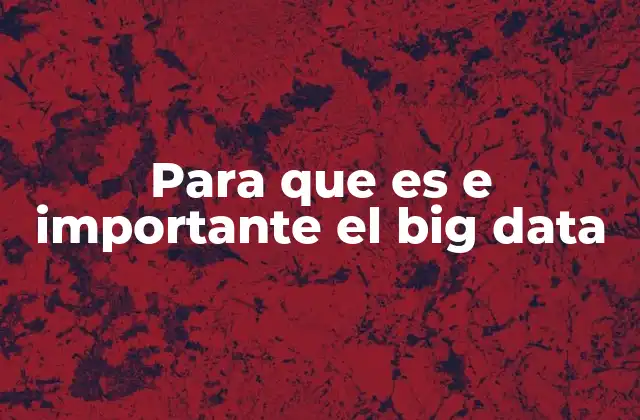Para que es e Importante el Big Data