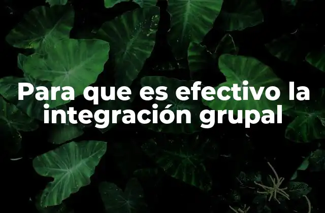 Para que es Efectivo la Integración Grupal