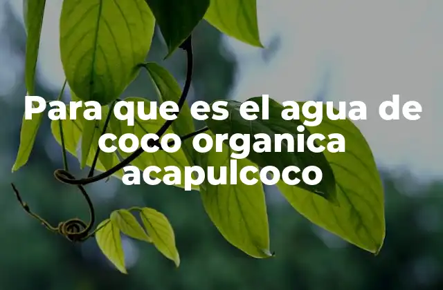 Beneficios del agua de coco orgánico en tu rutina diaria